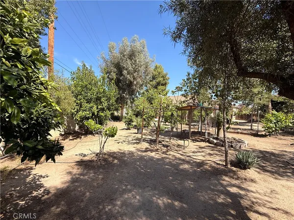 a view of a yard with a tree