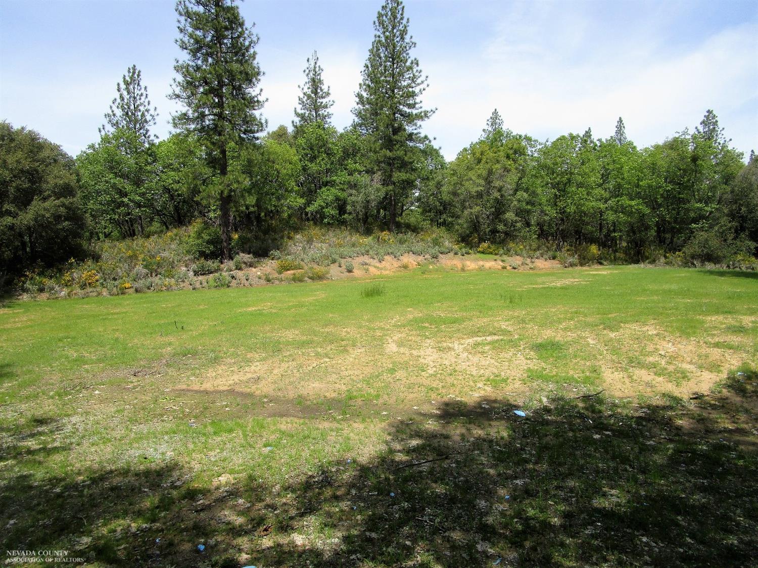 a view of a grassy field with trees in the background