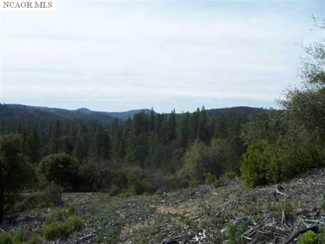 24271 Hoyt Crossing Road Nevada City, CA 95959 - Photo 12 of 66 a view of a city with lush green forest