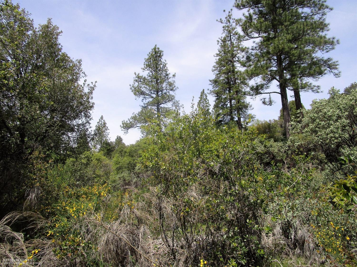 24271 Hoyt Crossing Road Nevada City, CA 95959 - Photo 13 of 66 a aerial view of a houses with yard