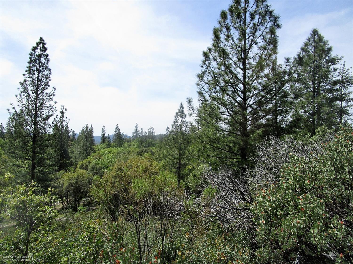 24271 Hoyt Crossing Road Nevada City, CA 95959 - Photo 19 of 66 a view of a green field