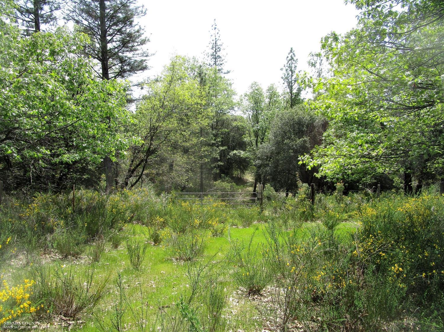 24271 Hoyt Crossing Road Nevada City, CA 95959 - Photo 20 of 66 a view of a garden