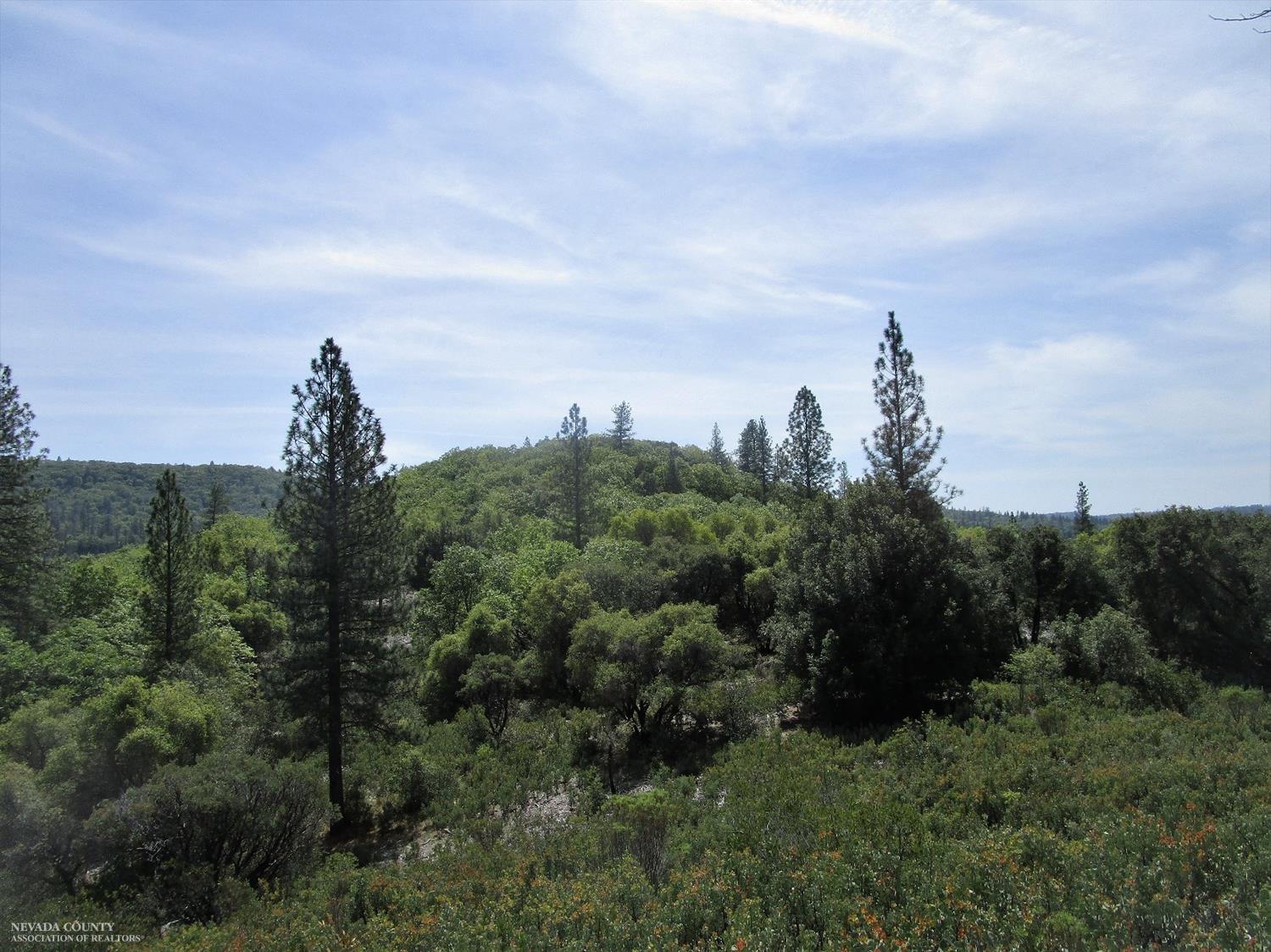 24271 Hoyt Crossing Road Nevada City, CA 95959 - Photo 2 of 66