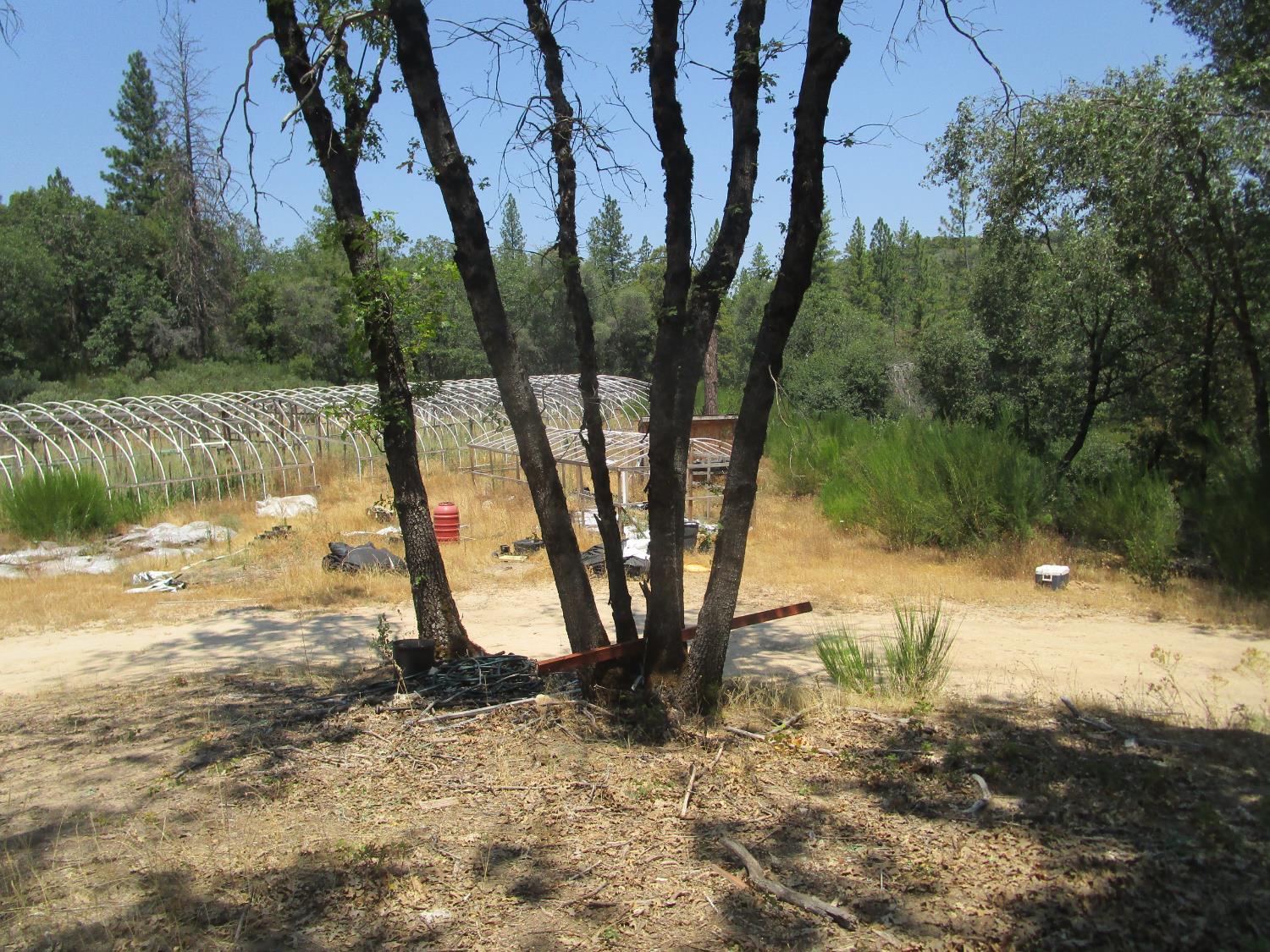 24271 Hoyt Crossing Road Nevada City, CA 95959 - Photo 31 of 66 a view of a yard with wooden fence