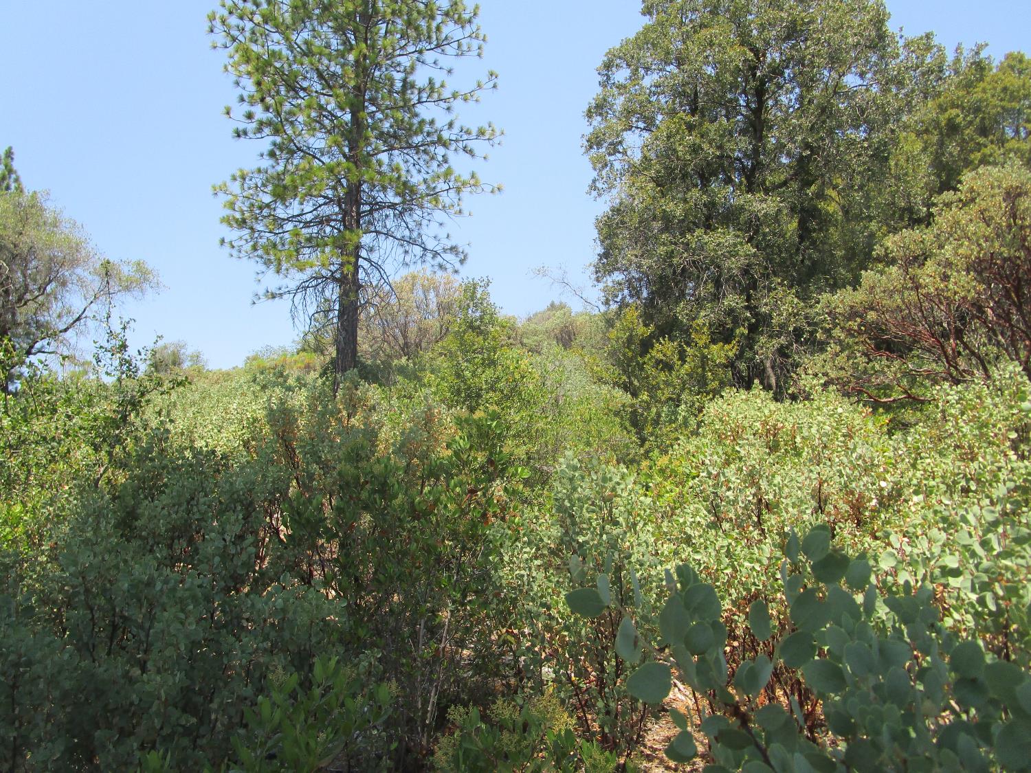 24271 Hoyt Crossing Road Nevada City, CA 95959 - Photo 37 of 66