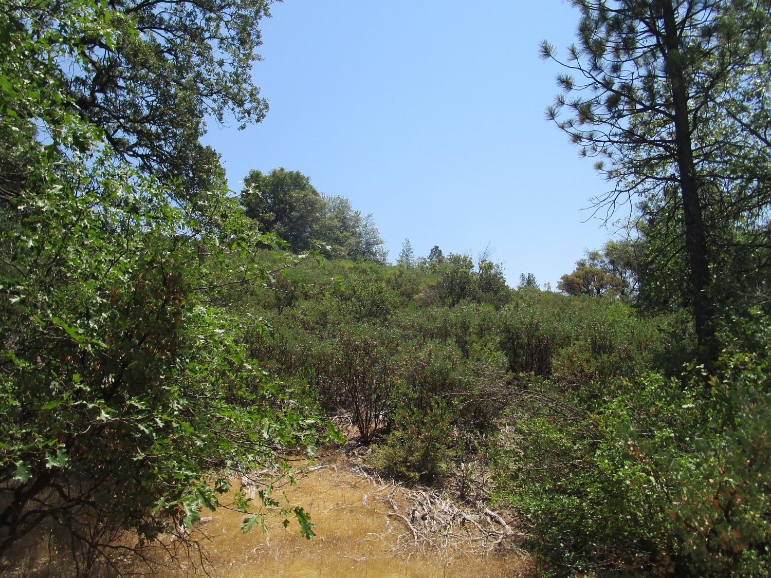 24271 Hoyt Crossing Road Nevada City, CA 95959 - Photo 38 of 66