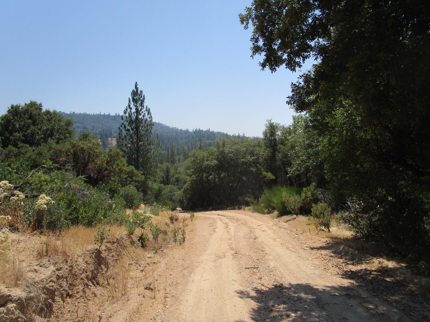 24271 Hoyt Crossing Road Nevada City, CA 95959 - Photo 42 of 66 a view of a covered with trees in the background