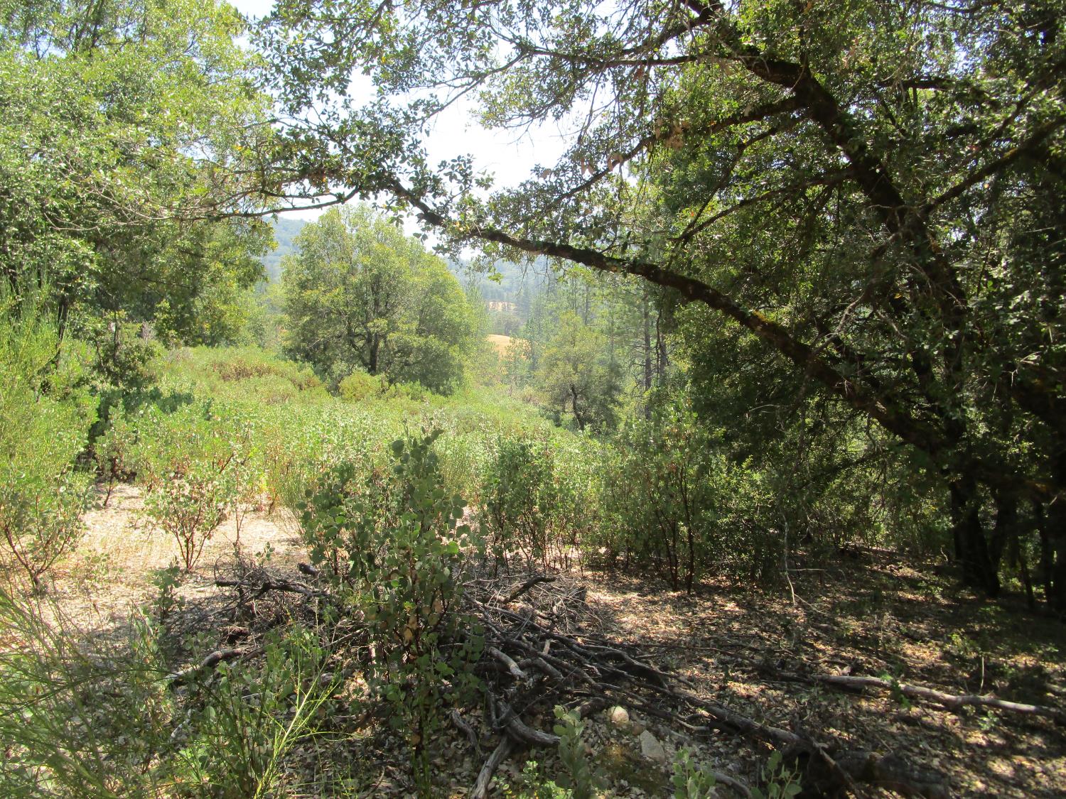 24271 Hoyt Crossing Road Nevada City, CA 95959 - Photo 43 of 66 a view of lake with green space