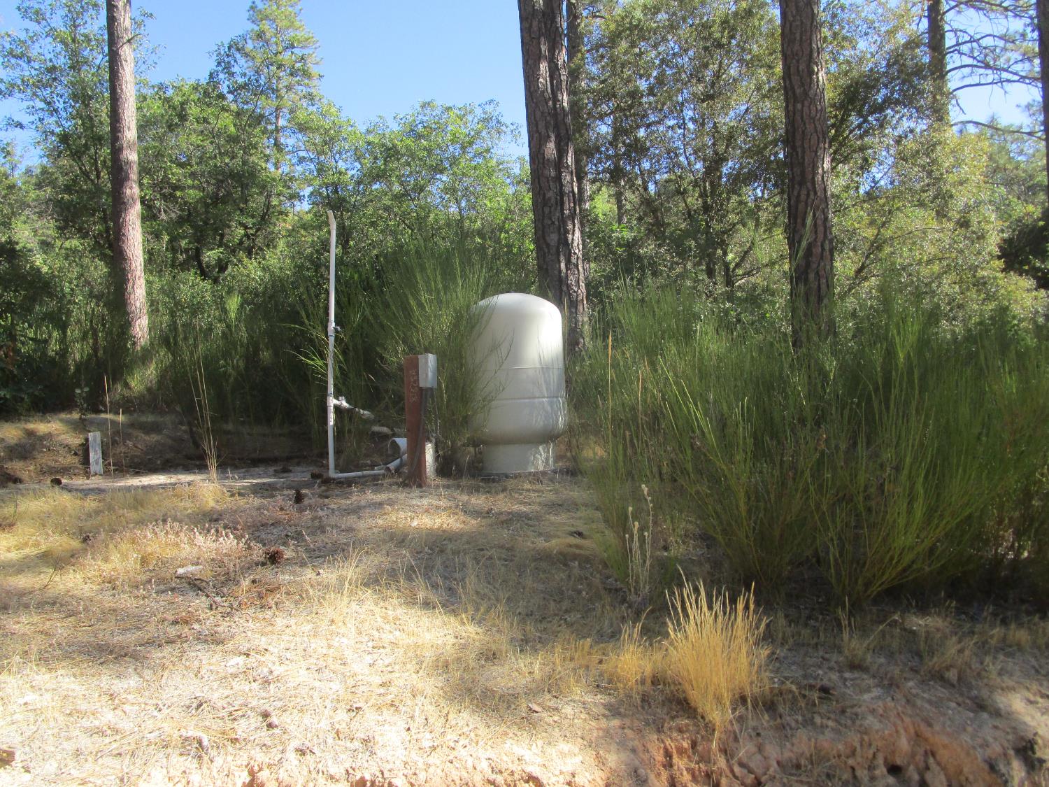 24271 Hoyt Crossing Road Nevada City, CA 95959 - Photo 47 of 66