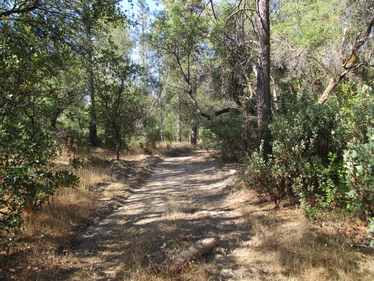 24271 Hoyt Crossing Road Nevada City, CA 95959 - Photo 50 of 66 a view of outdoor space and trees
