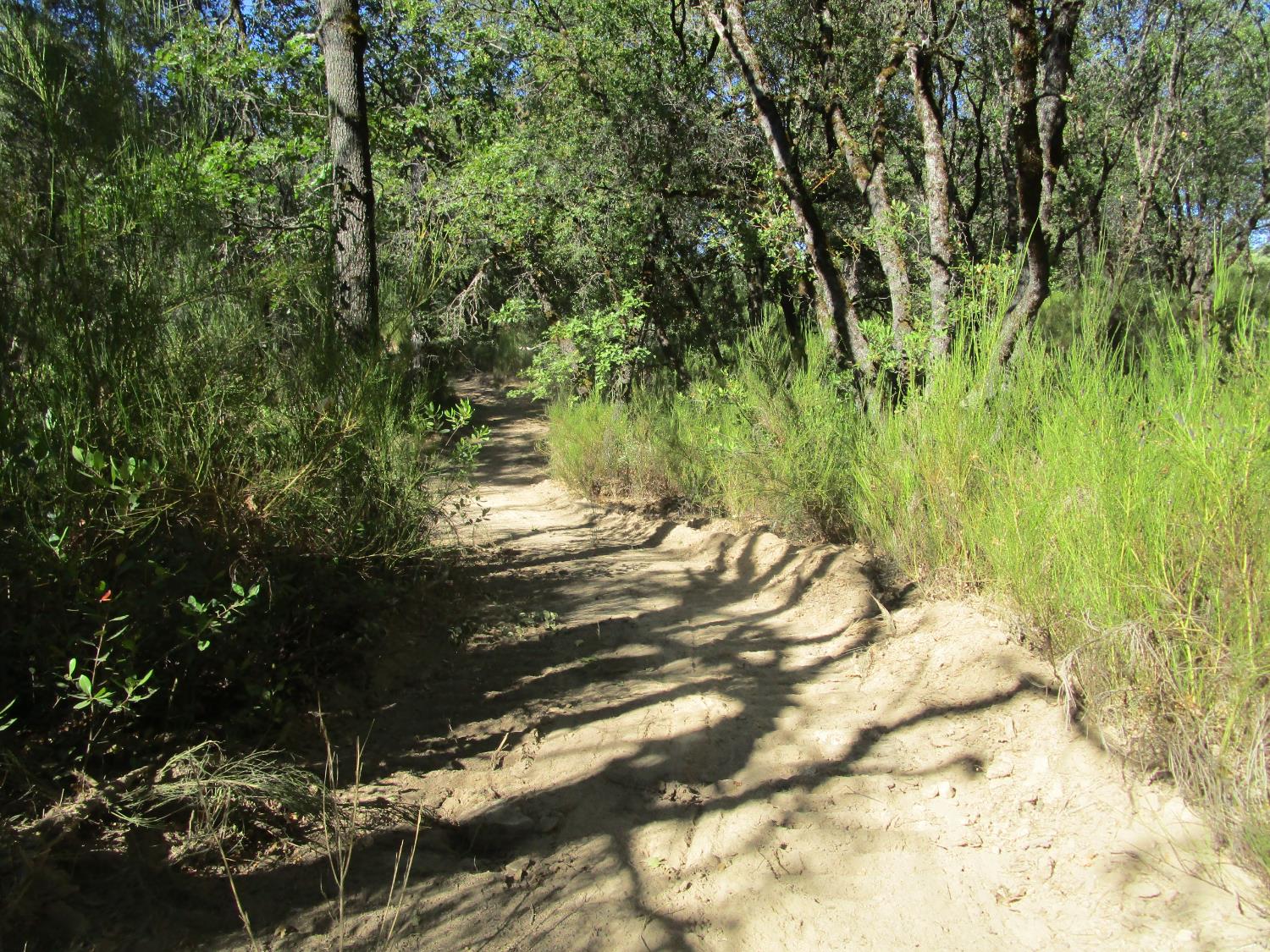 24271 Hoyt Crossing Road Nevada City, CA 95959 - Photo 51 of 66