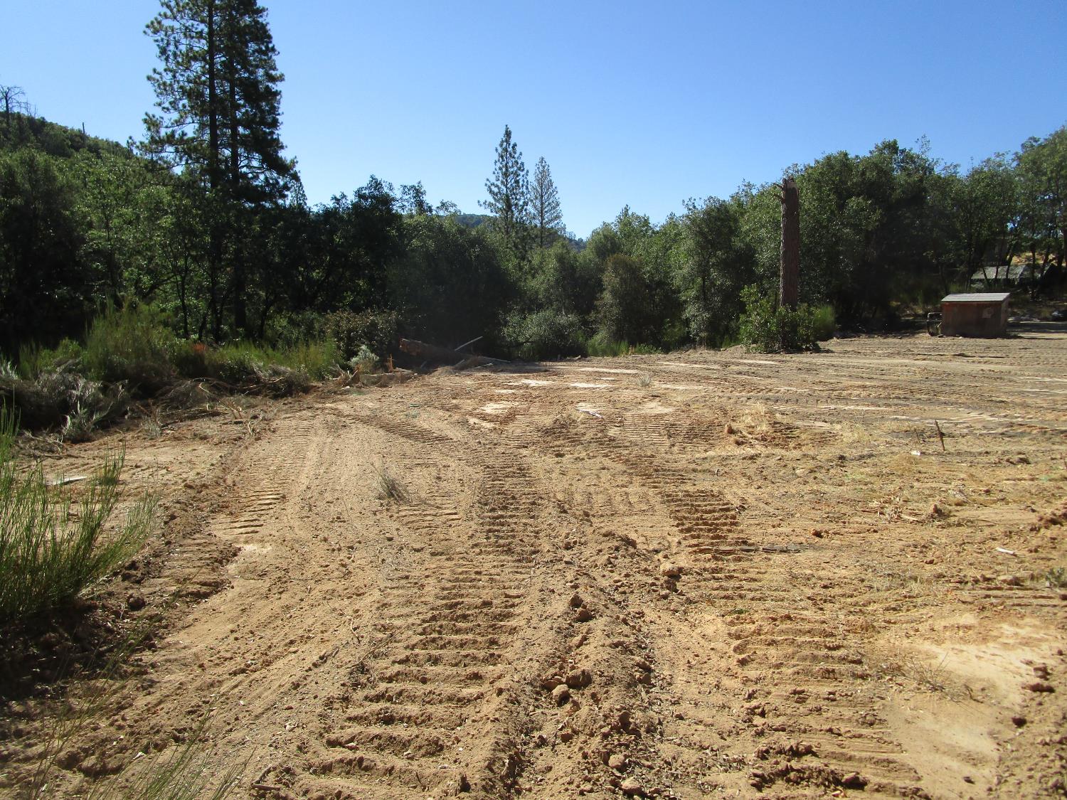 24271 Hoyt Crossing Road Nevada City, CA 95959 - Photo 52 of 66 a view of a yard with trees