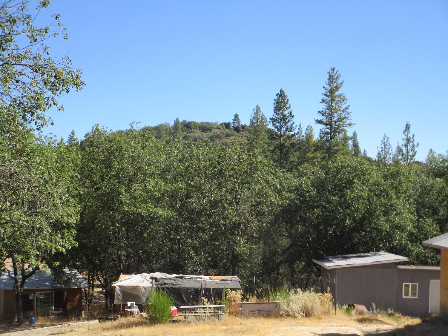 24271 Hoyt Crossing Road Nevada City, CA 95959 - Photo 65 of 66