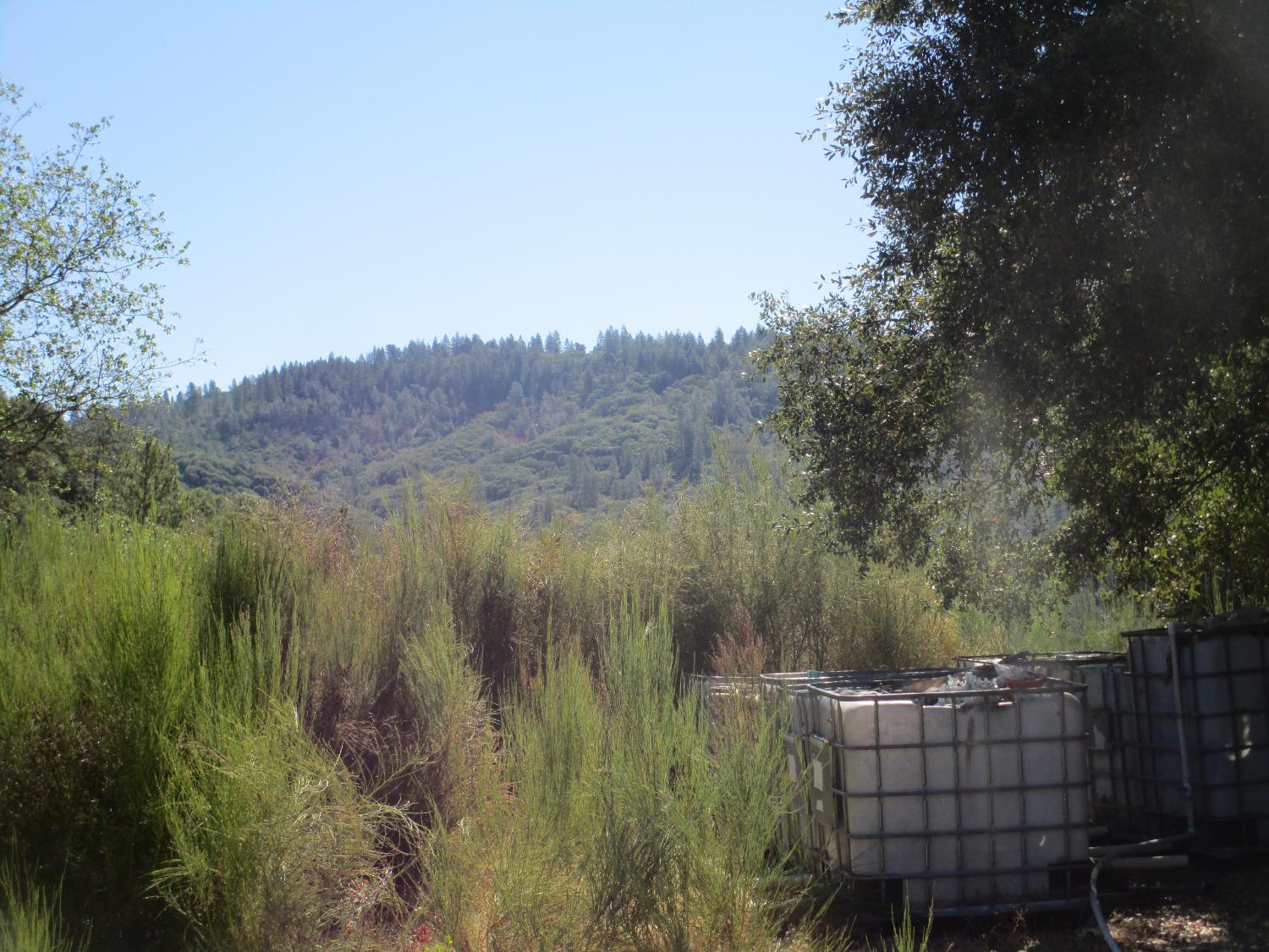 24271 Hoyt Crossing Road Nevada City, CA 95959 - Photo 66 of 66