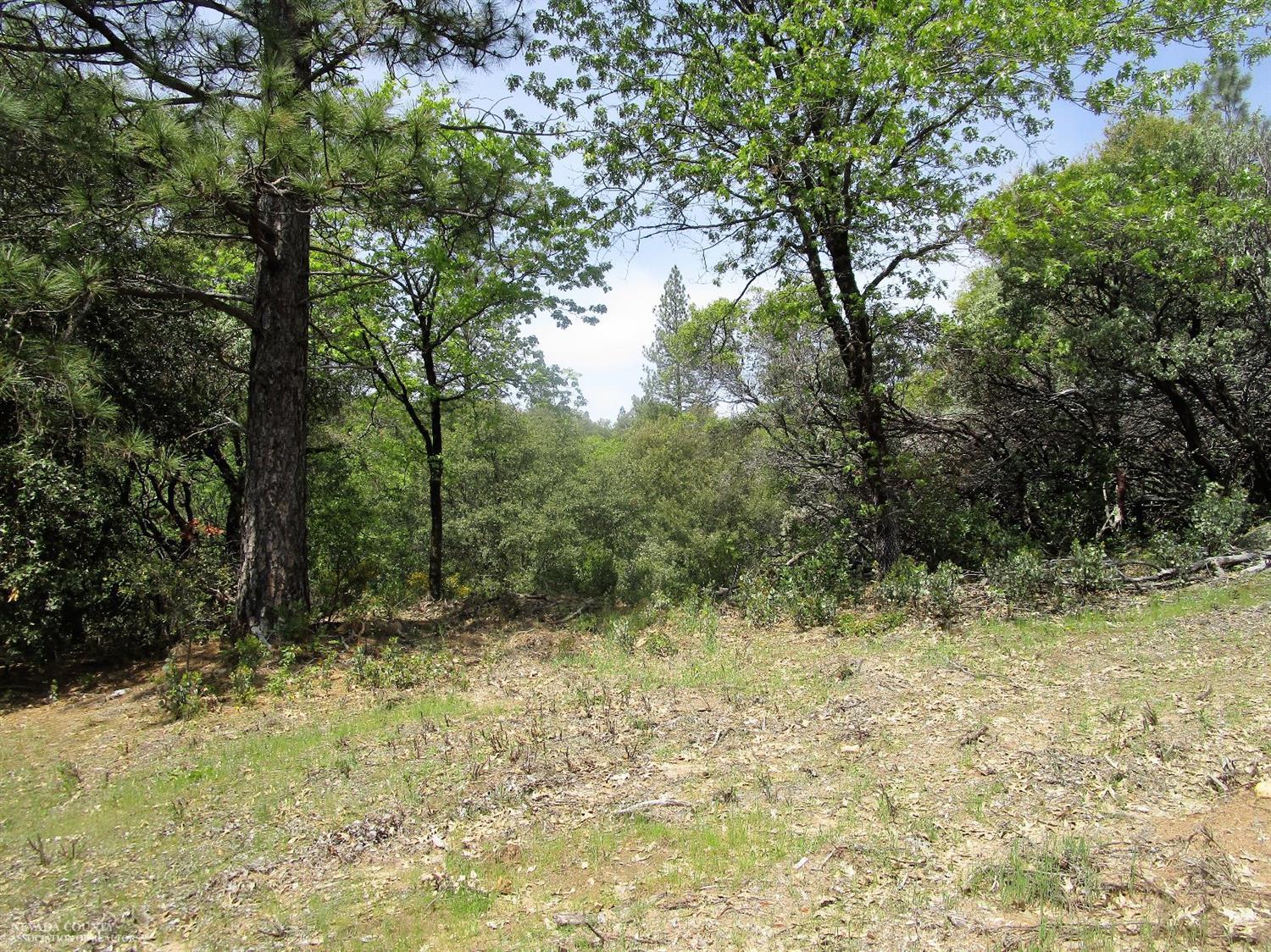 24271 Hoyt Crossing Road Nevada City, CA 95959 - Photo 8 of 66 a view of backyard with green space
