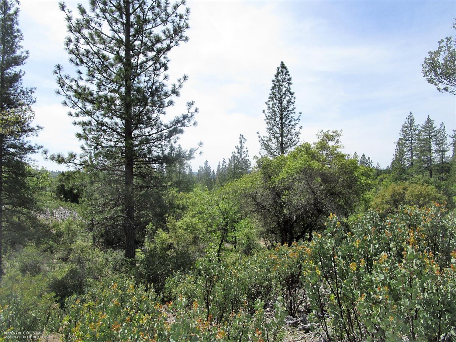 24271 Hoyt Crossing Road Nevada City, CA 95959 - Photo 9 of 66