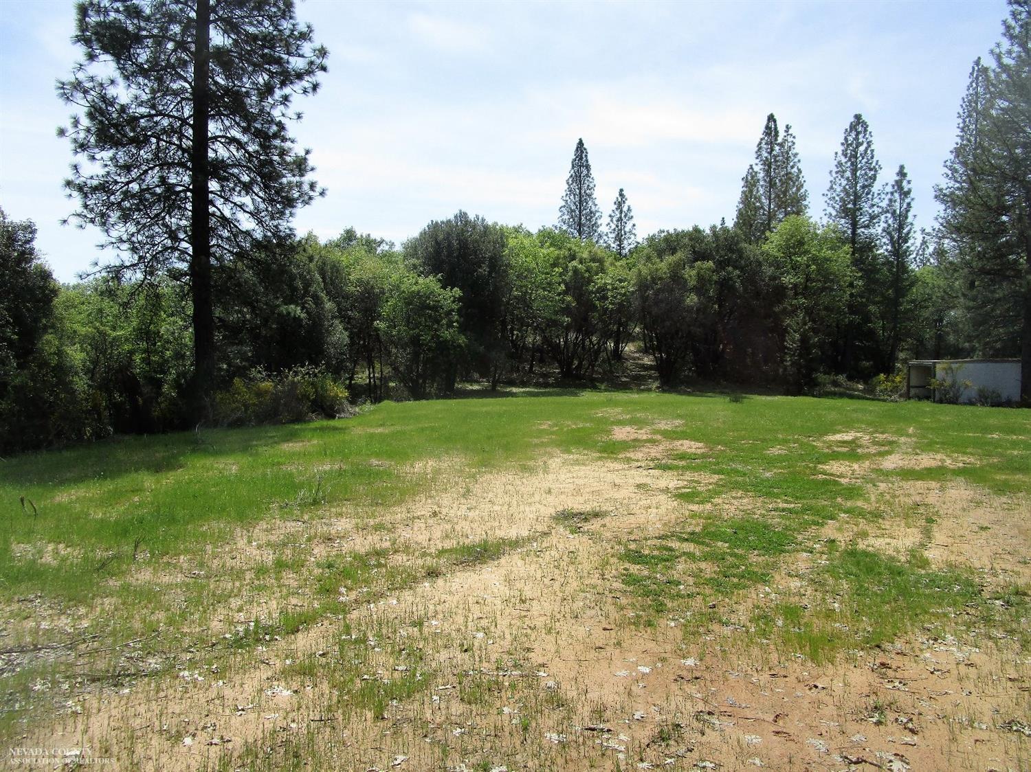 24271 Hoyt Crossing Road Nevada City, CA 95959 - Photo 10 of 66 a view of a field with a trees in the background