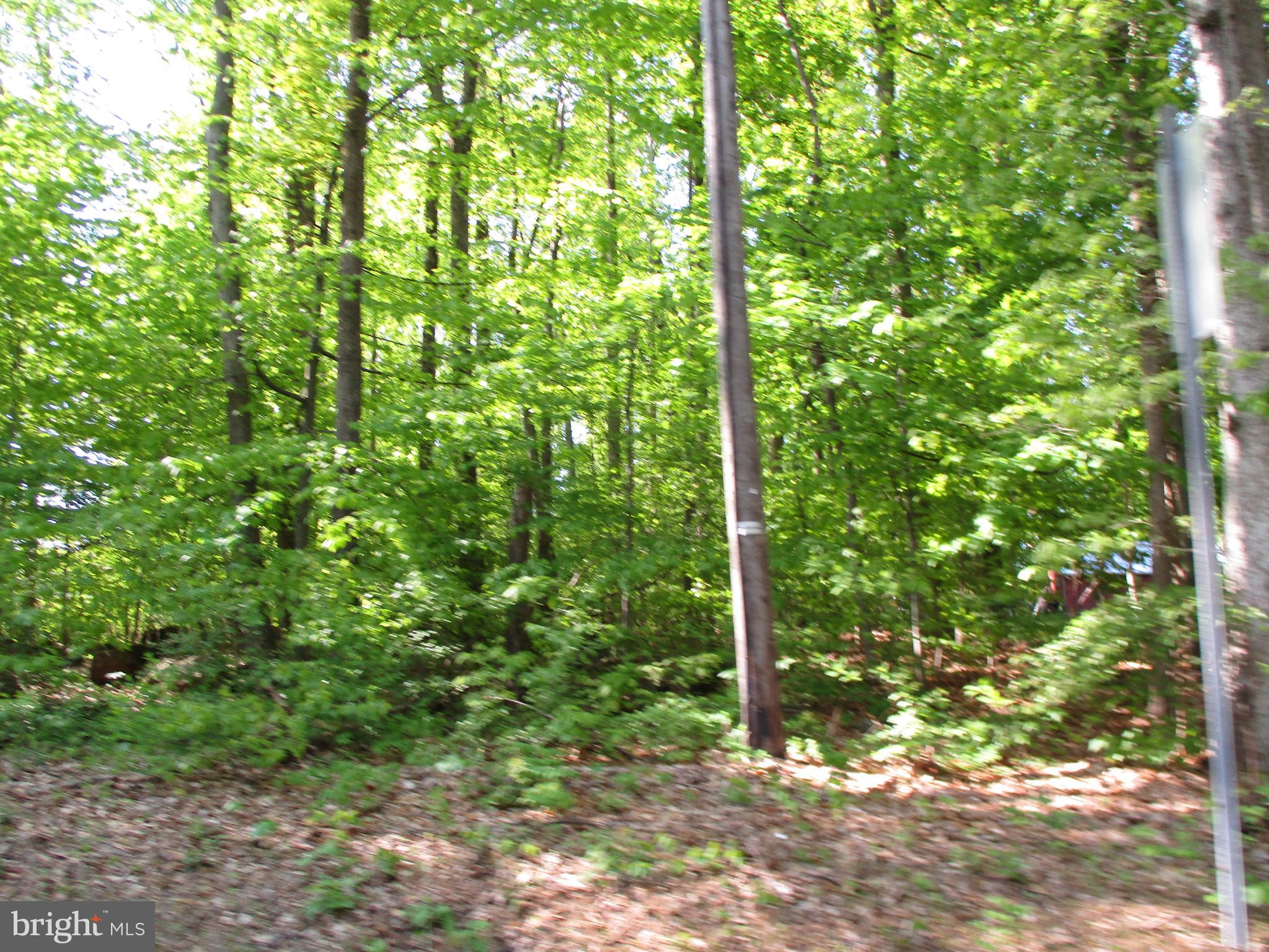 0 California Road Quakertown, PA 18951 - Photo 1 of 4 Gallery Image 1
