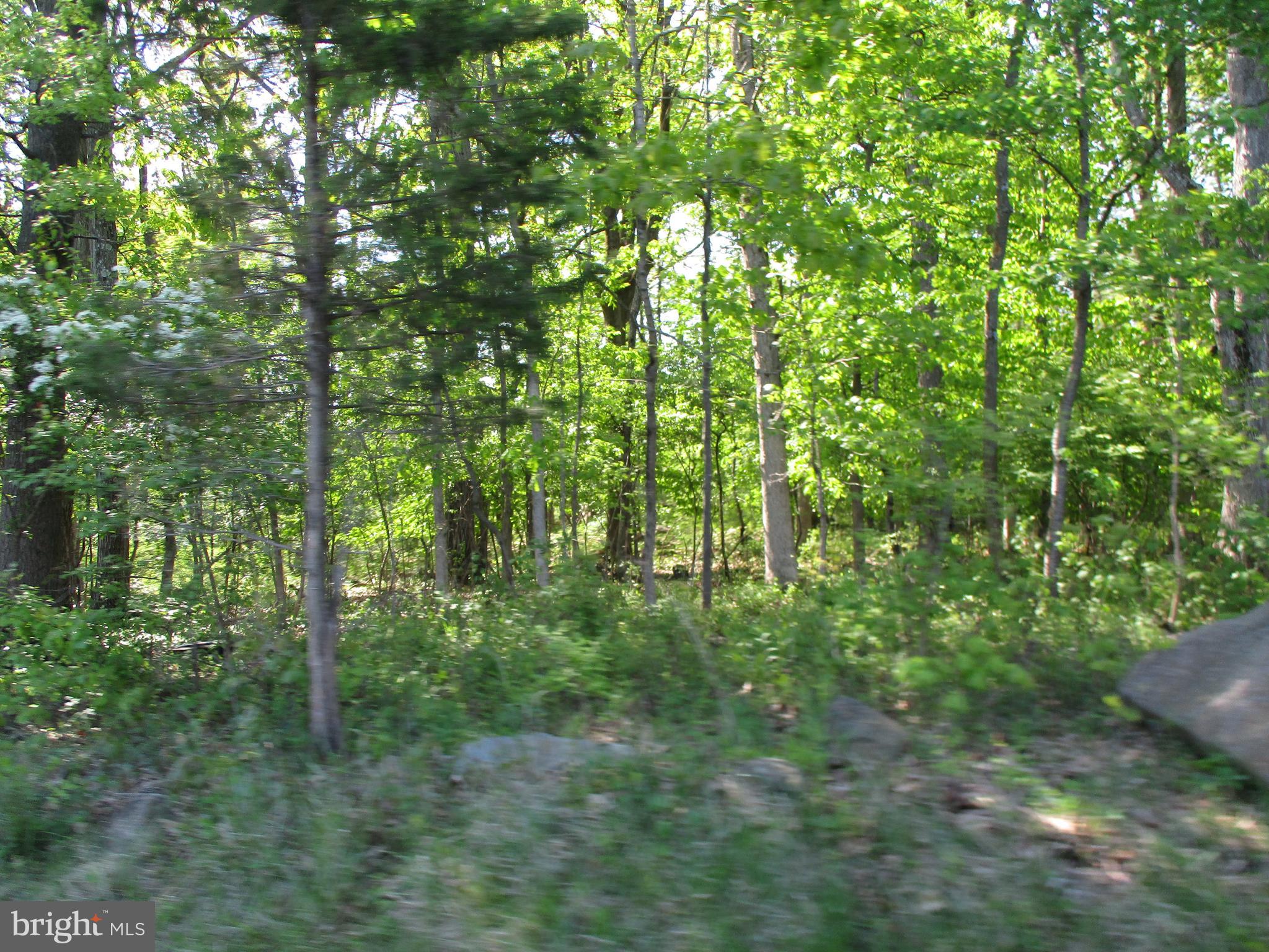 0 California Road Quakertown, PA 18951 - Photo 2 of 4 Gallery Image 2