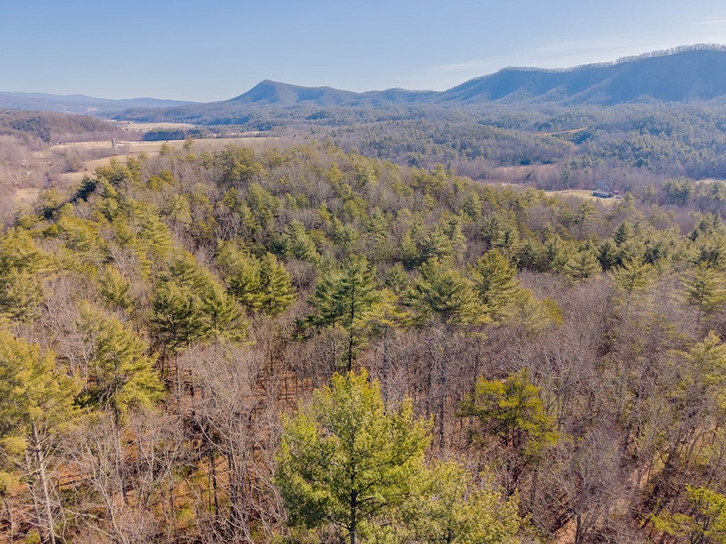 Tbd Kimberling Road, Unit 10A 10B2 Bland, VA 24315 - Photo 69 of 72 Gallery Image 69