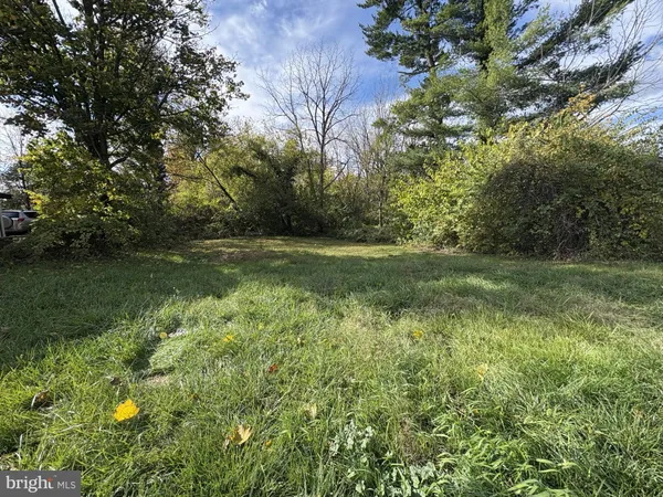 a view of a garden with a bench