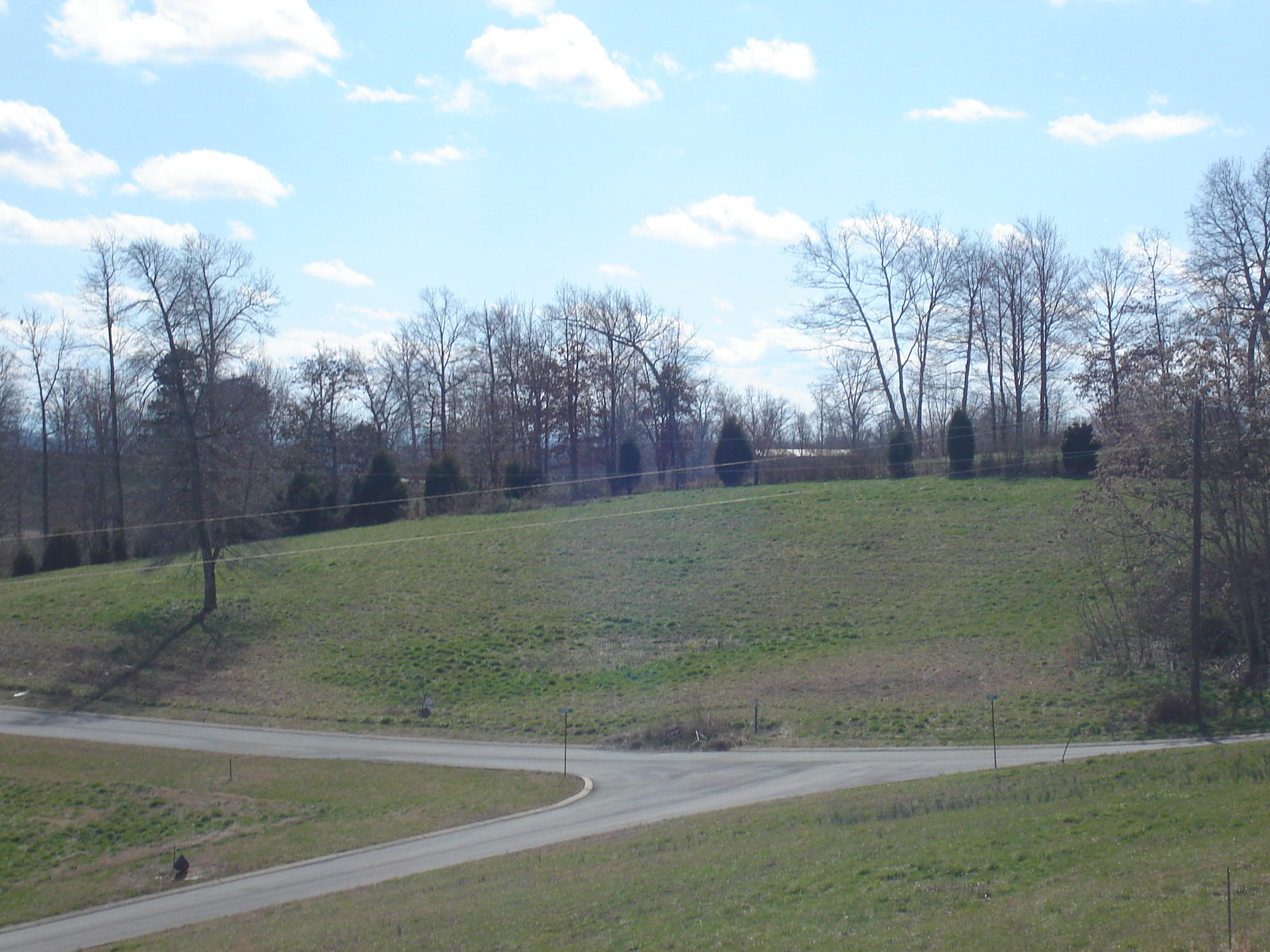 Lot 58 Washita Lane Rutledge, TN 37861 - Photo 3 of 4 DSC00538