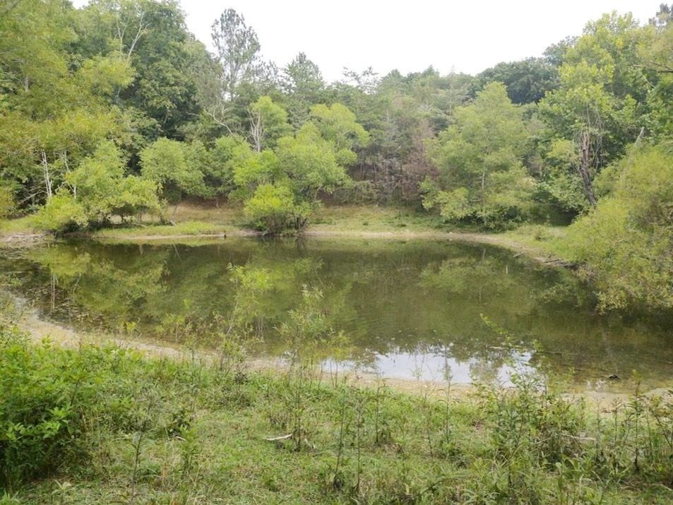 1428 Sandy Ridge Road Dandridge, TN 37725 - Photo 17 of 23 Gallery Image 17