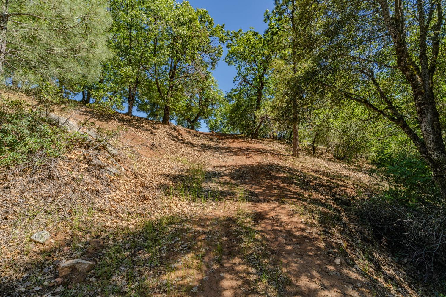 0 Defender Grade Road Pioneer, CA 95666 - Photo 37 of 60