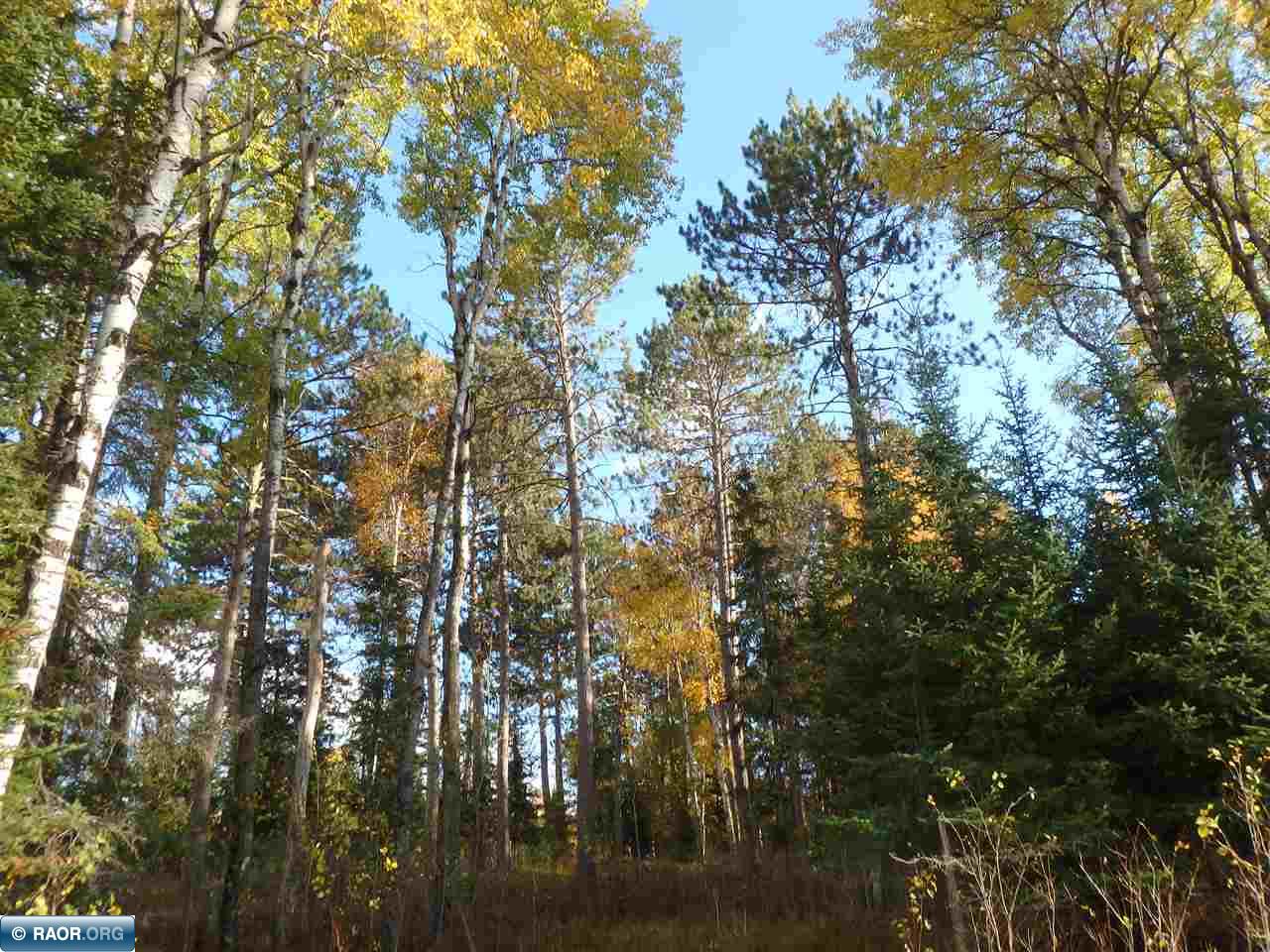 10436 Heino Road Angora, MN 55703 - Photo 6 of 15