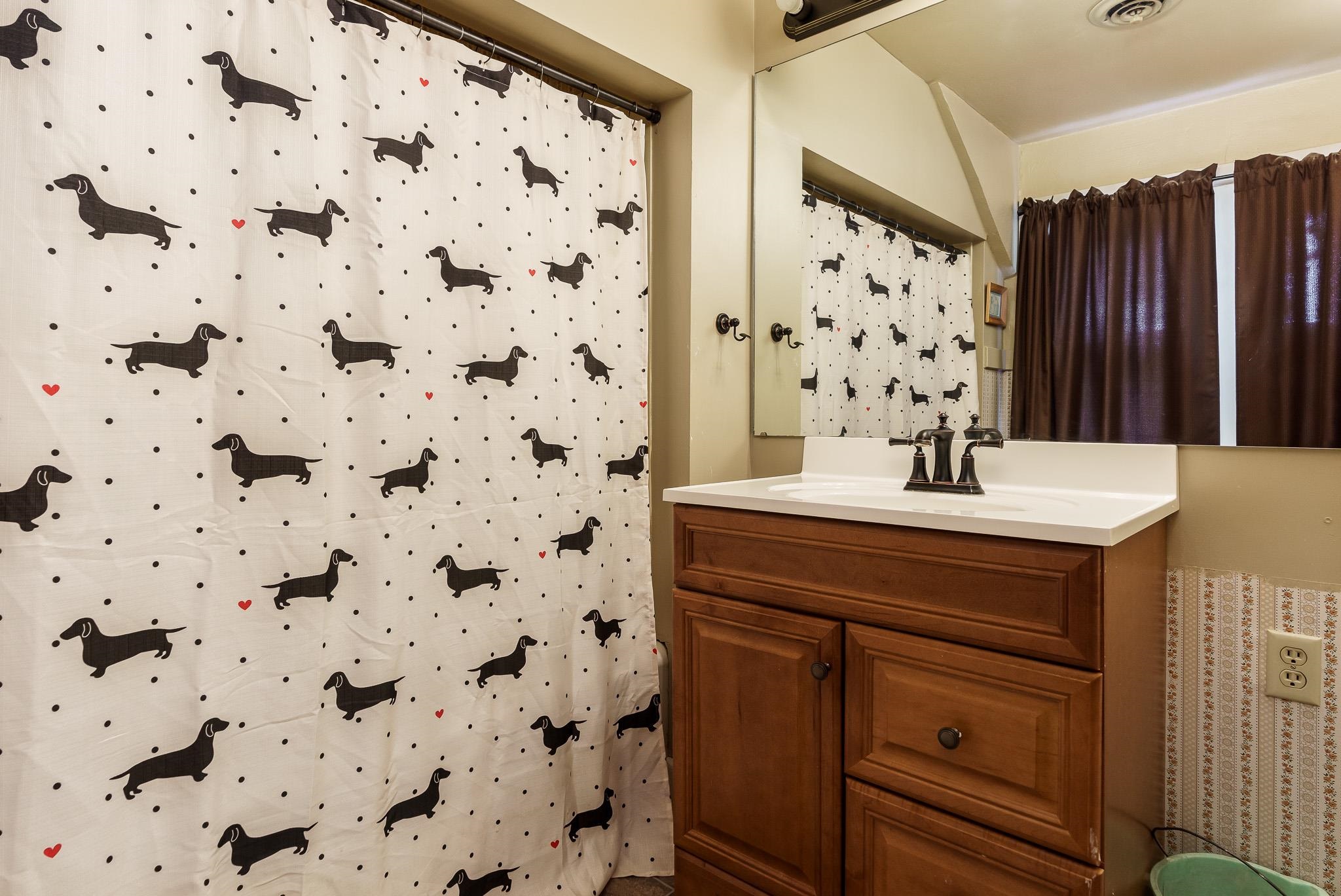305 West 3rd Street Byron, IL 61010 - Photo 31 of 37 a bathroom with a sink and a mirror