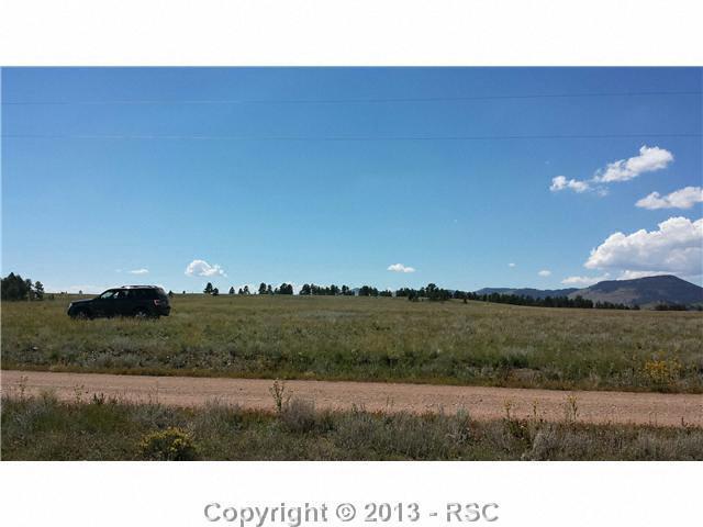 86 Doe Valley Road Guffey, CO 80820 - Photo 24 of 25 From the road overview of front of property