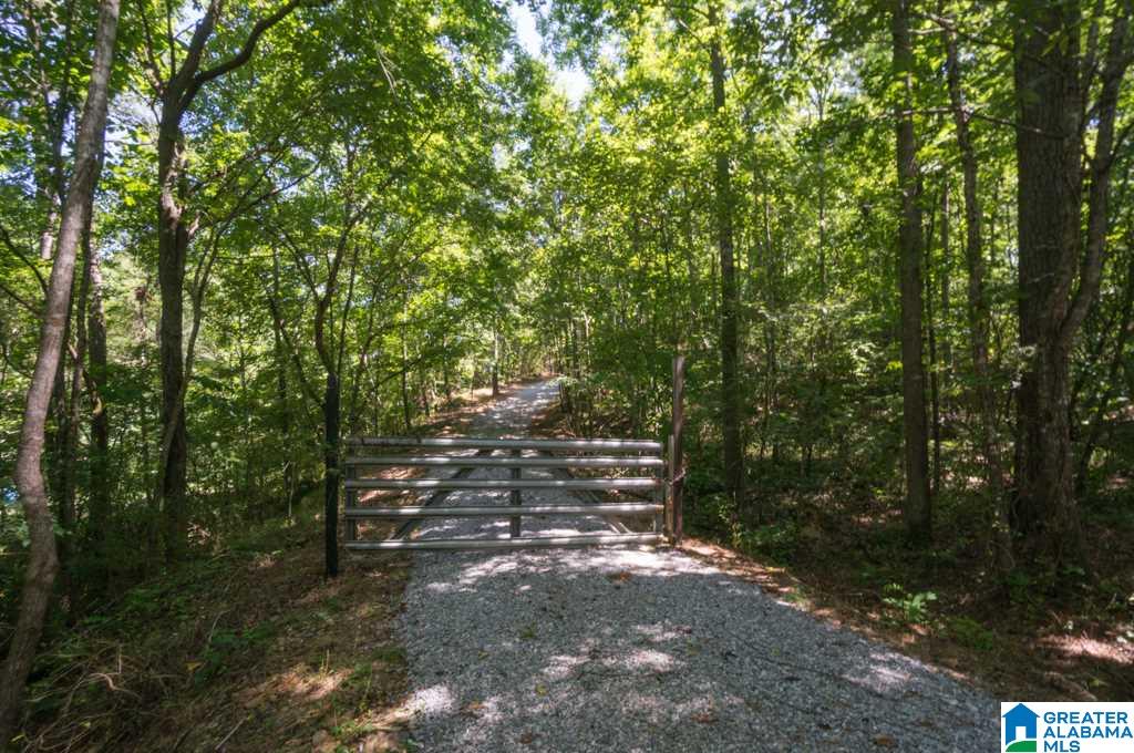 161 Ridge Road Shelby, AL 35143 - Photo 35 of 43