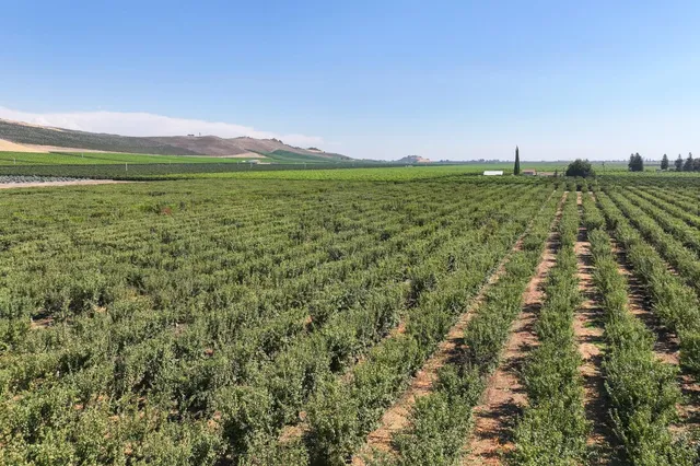 $980,000 | 23667 East Dinuba Avenue, Dinuba, CA 93618