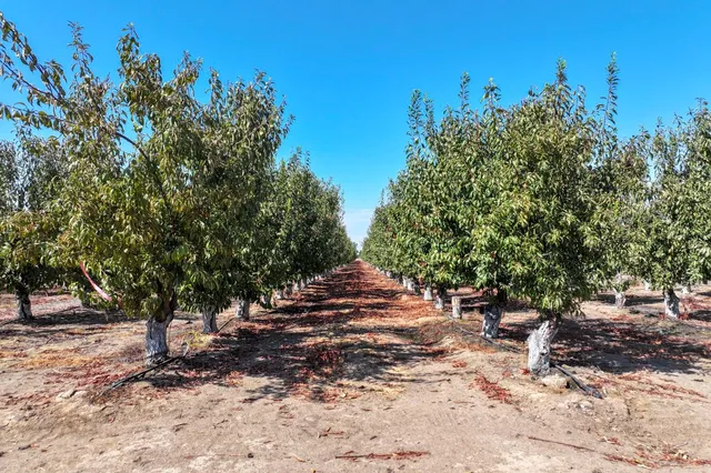 $980,000 | 23667 East Dinuba Avenue, Dinuba, CA 93618