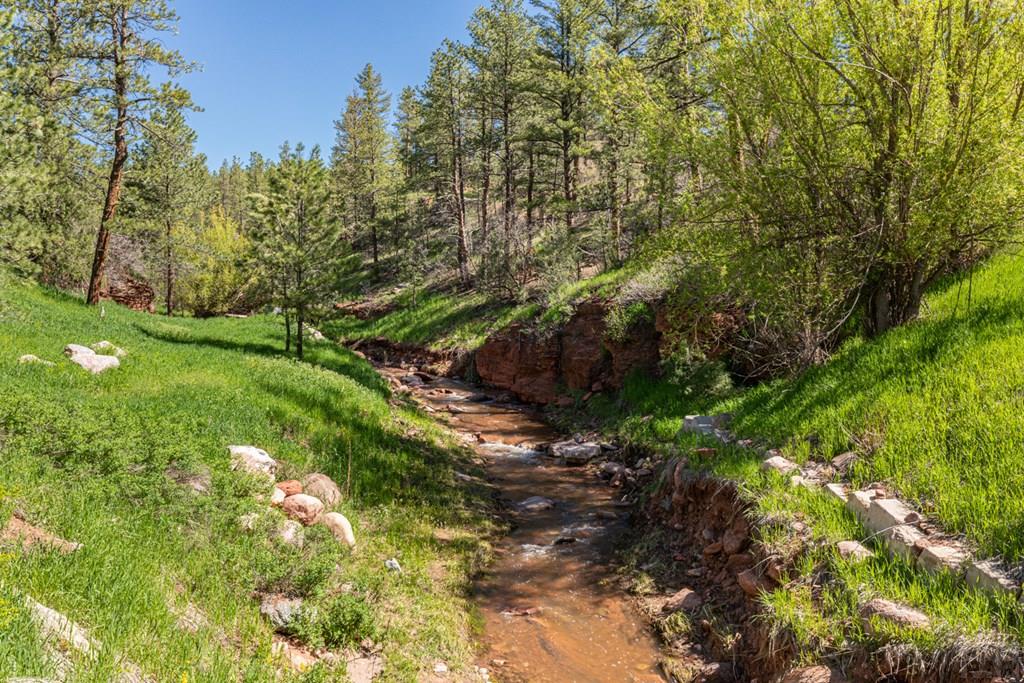 Tbd North Northcreek Road Beulah, CO 81023 - Photo 7 of 8