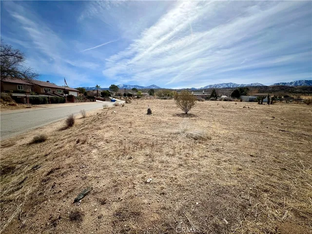 $60,000 | 0 163 Ste Vic Burning Tree Street East, Llano, CA 93544