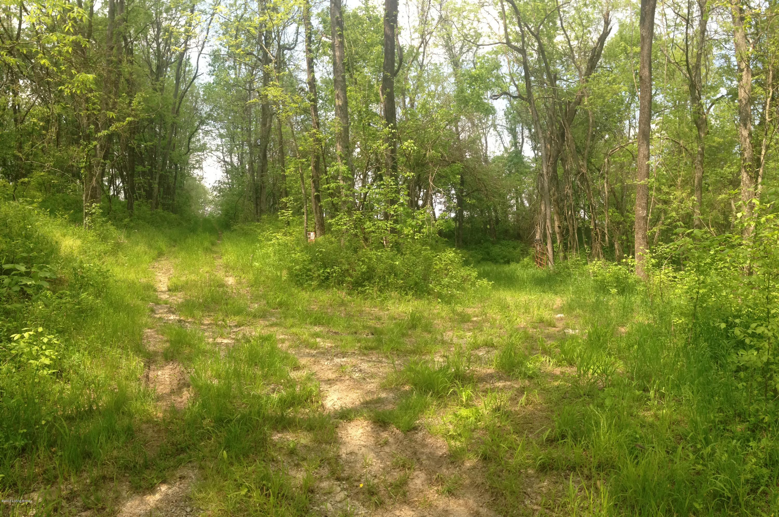 To the Left of this photo is the Old Co. Road bed which is an easement to the Right side of photo which is entrance into this 1 acre just through the gate past the rock wall to open area for building site.