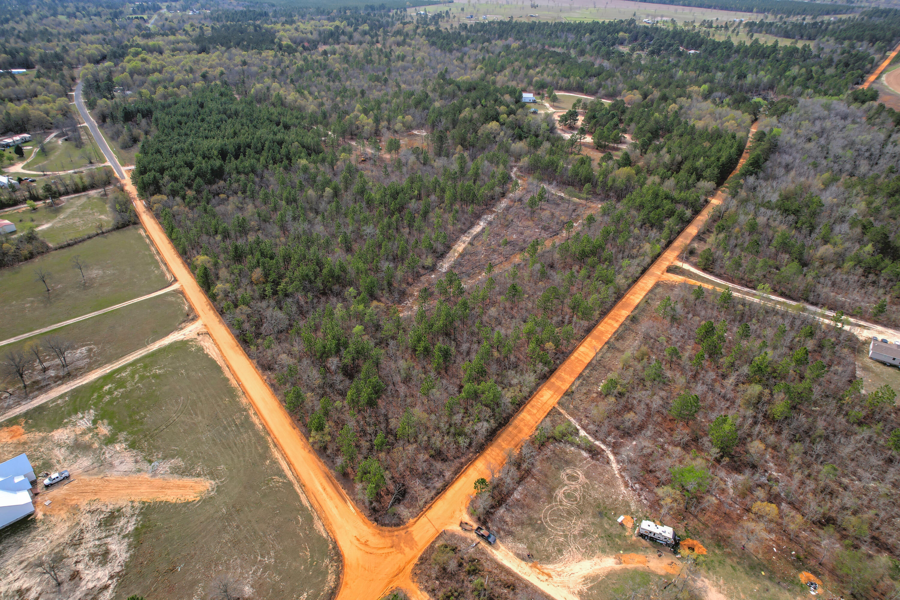 11-acres North 11-acres N Windsor Road Windsor, SC 29856 - Photo 11 of 16