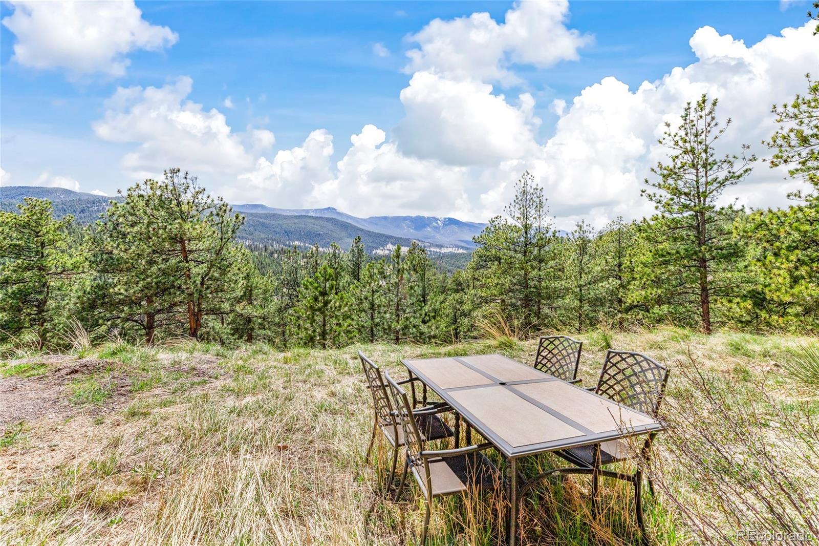 305 Virginia Road, Unit H Bailey, CO 80421 - Photo 29 of 48 Gallery Image 29