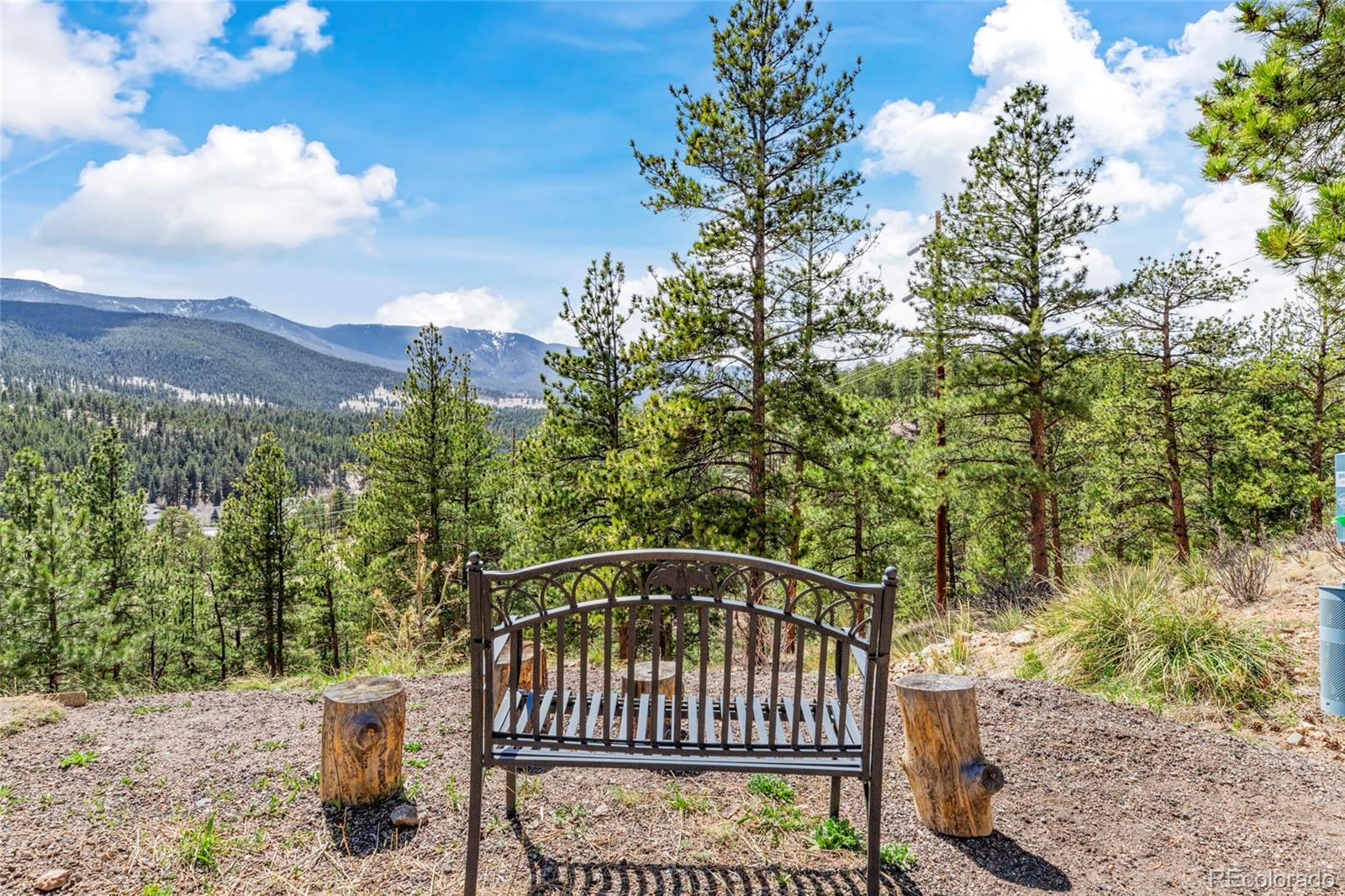 305 Virginia Road, Unit H Bailey, CO 80421 - Photo 30 of 48 Gallery Image 30