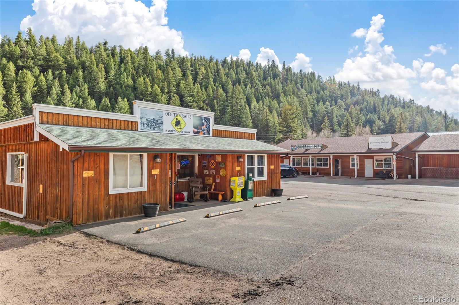 305 Virginia Road, Unit H Bailey, CO 80421 - Photo 46 of 48 Gallery Image 46