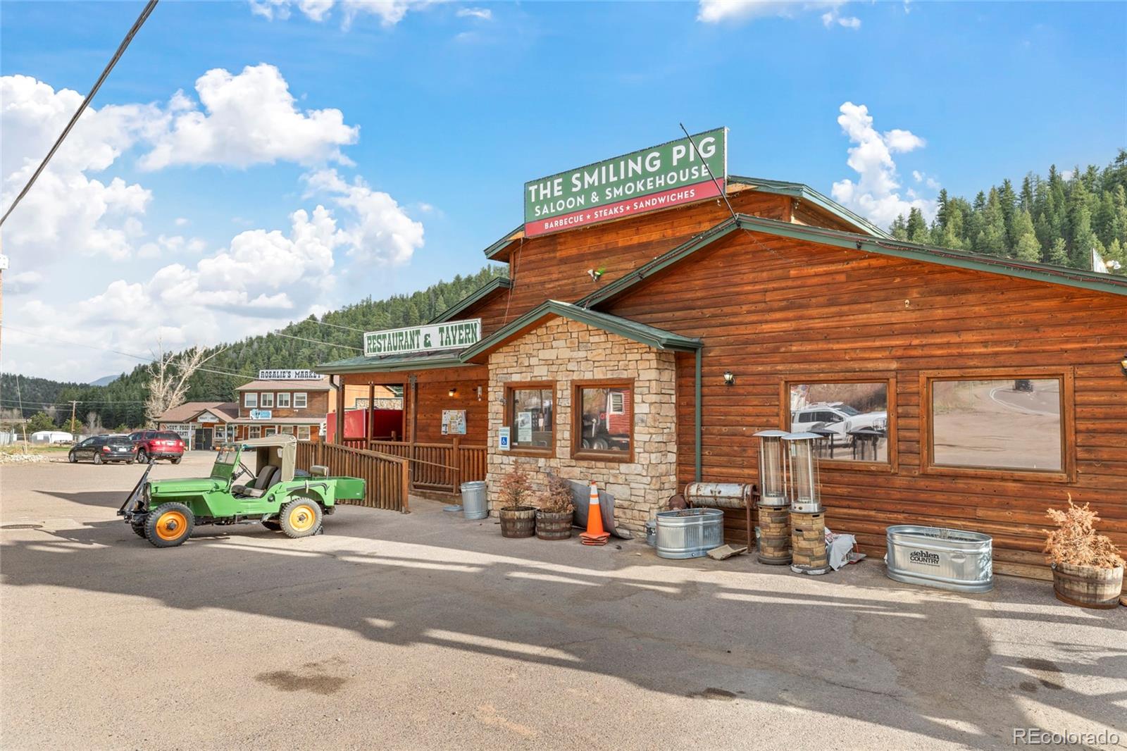 305 Virginia Road, Unit H Bailey, CO 80421 - Photo 47 of 48 Gallery Image 47