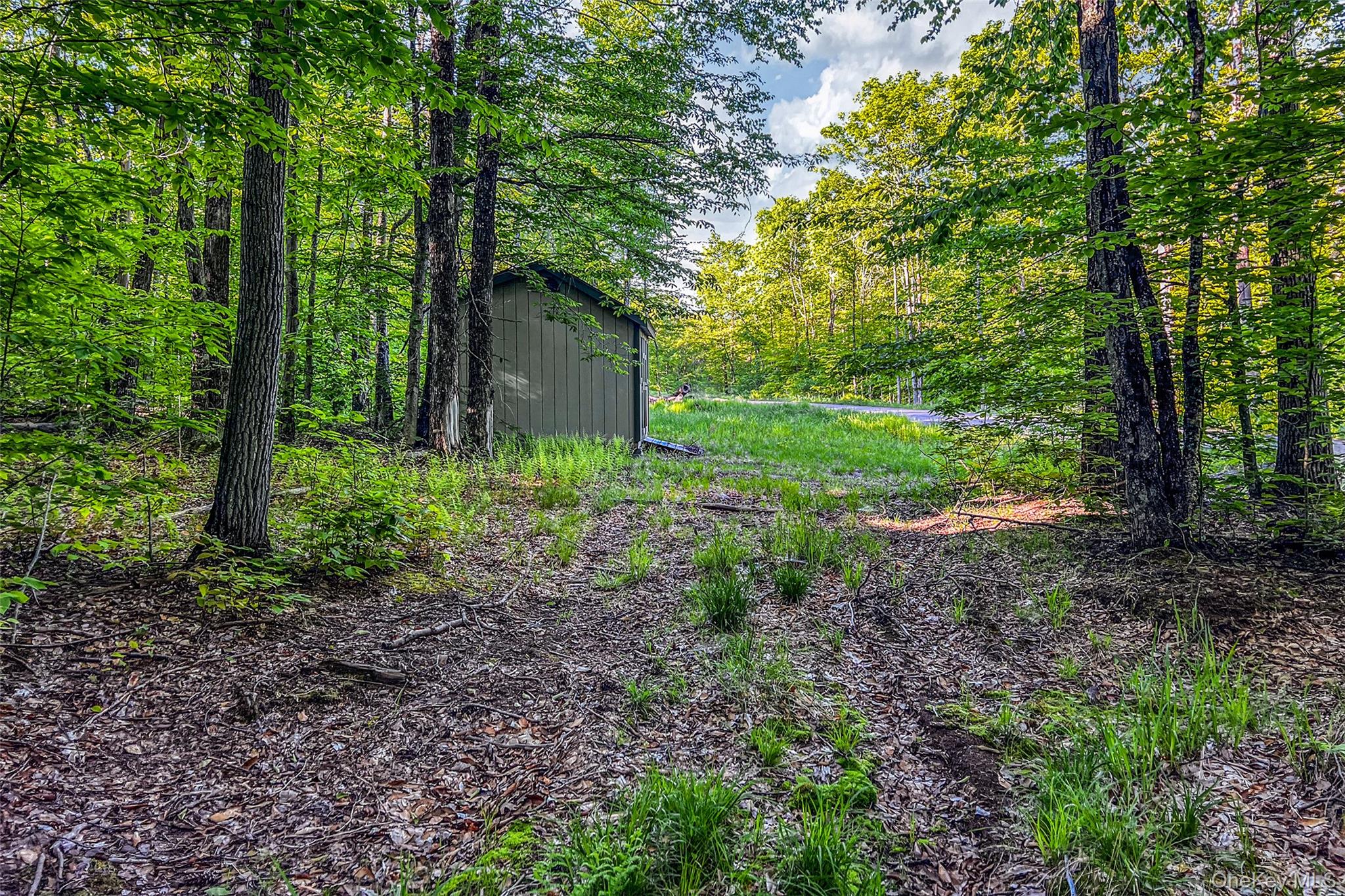 Frank Slawson Road Oneonta, NY 13820 - Photo 30 of 30 Gallery Image 30