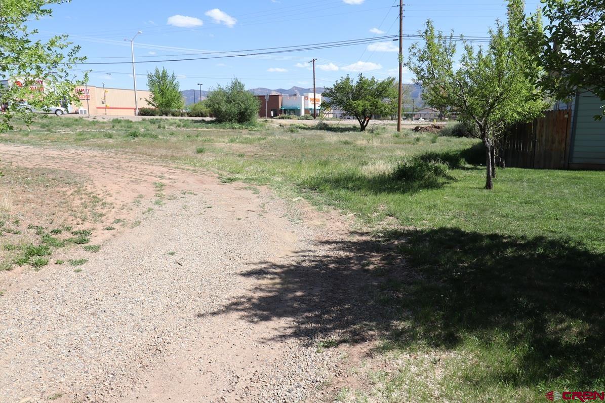 313 South Broadway Cortez, CO 81321 - Photo 3 of 6 a view of a yard with plants and a trees