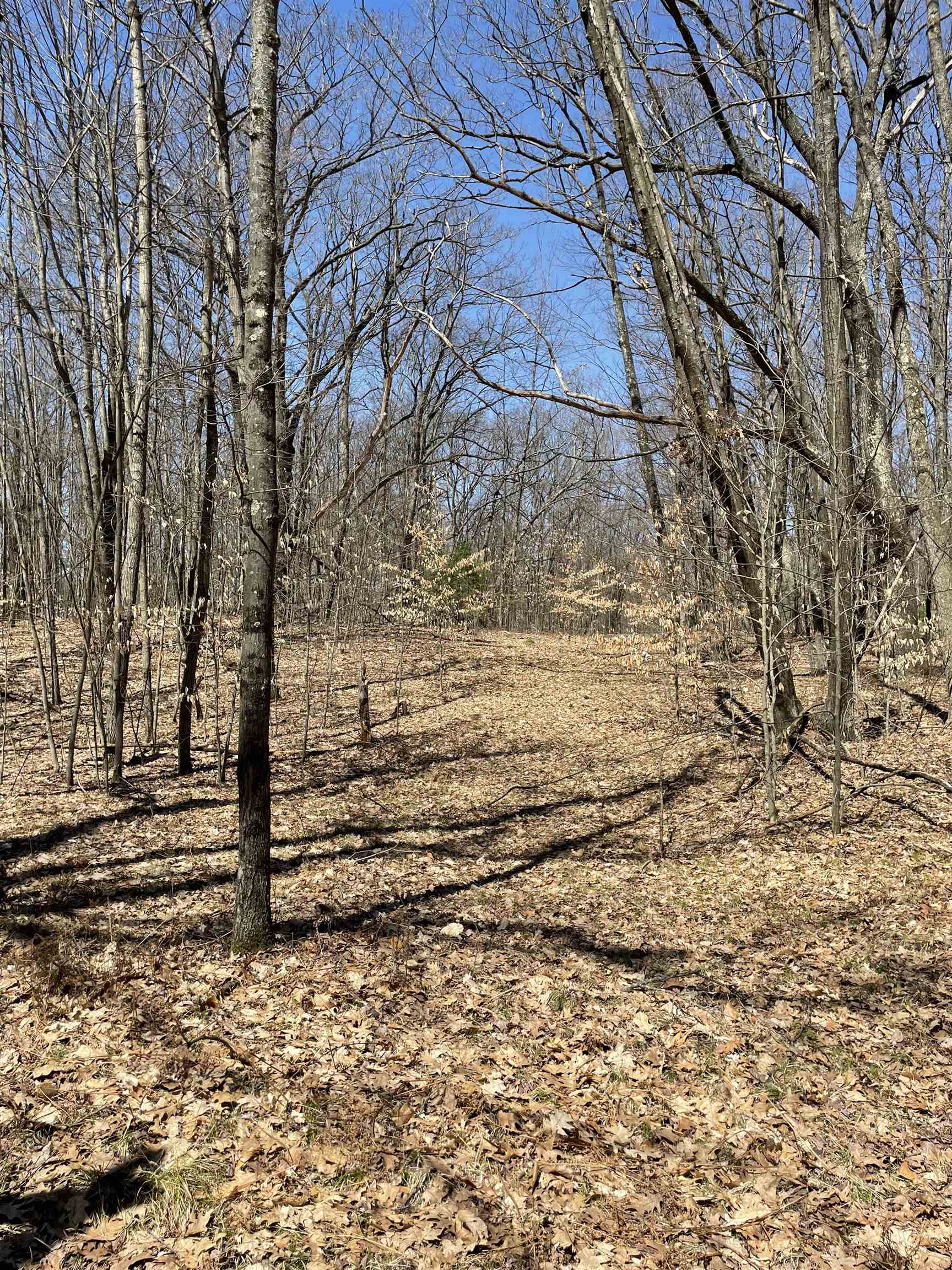 8895 East Grandview Trail Reed City, MI 49677 - Photo 15 of 18