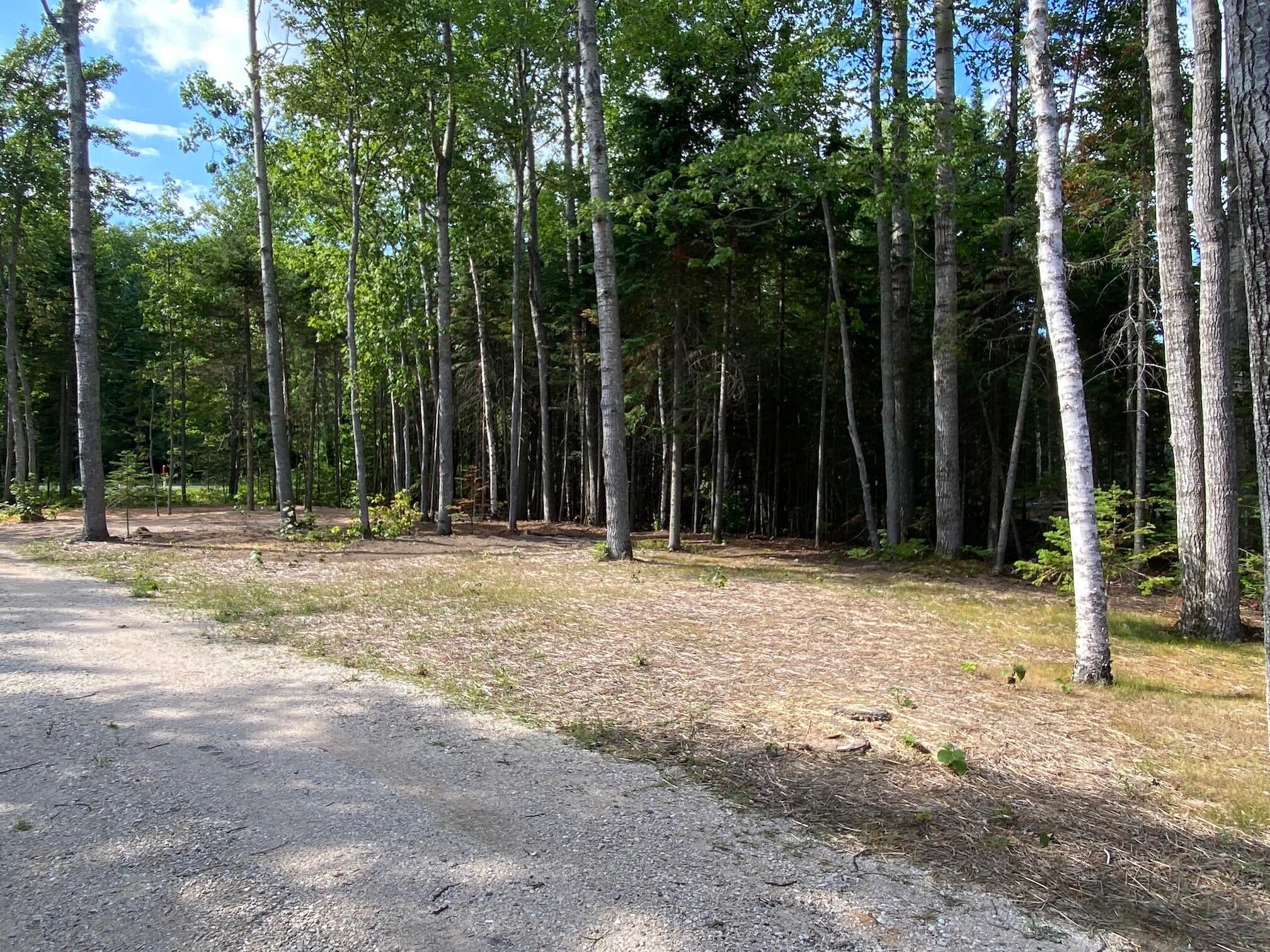 9772 North Whitefish Point Road Paradise, MI 49768 - Photo 8 of 17 Gallery Image 8