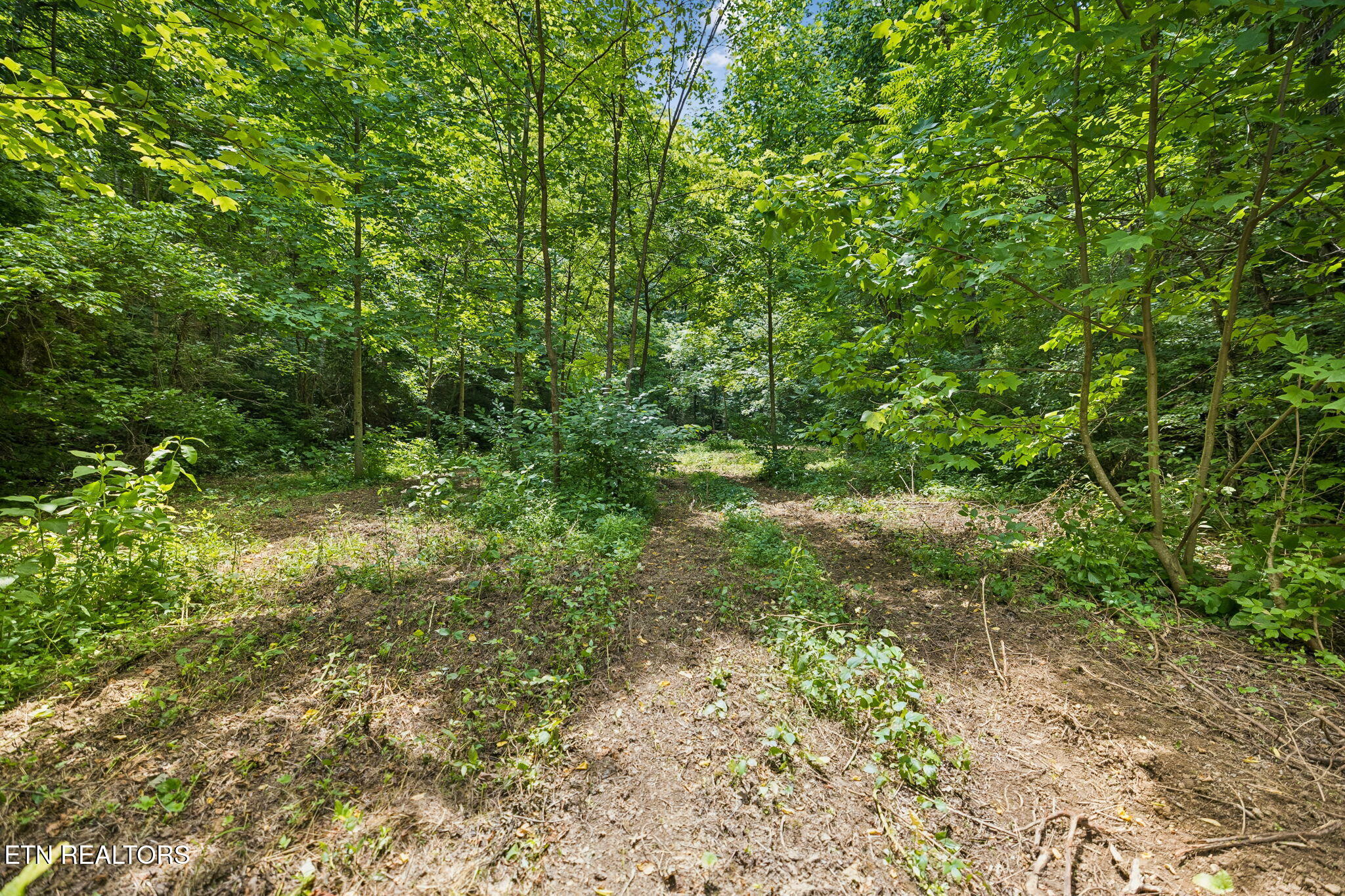 Knob Road Rutledge, TN 37861 - Photo 14 of 46 8-344 Knob Rd - 008