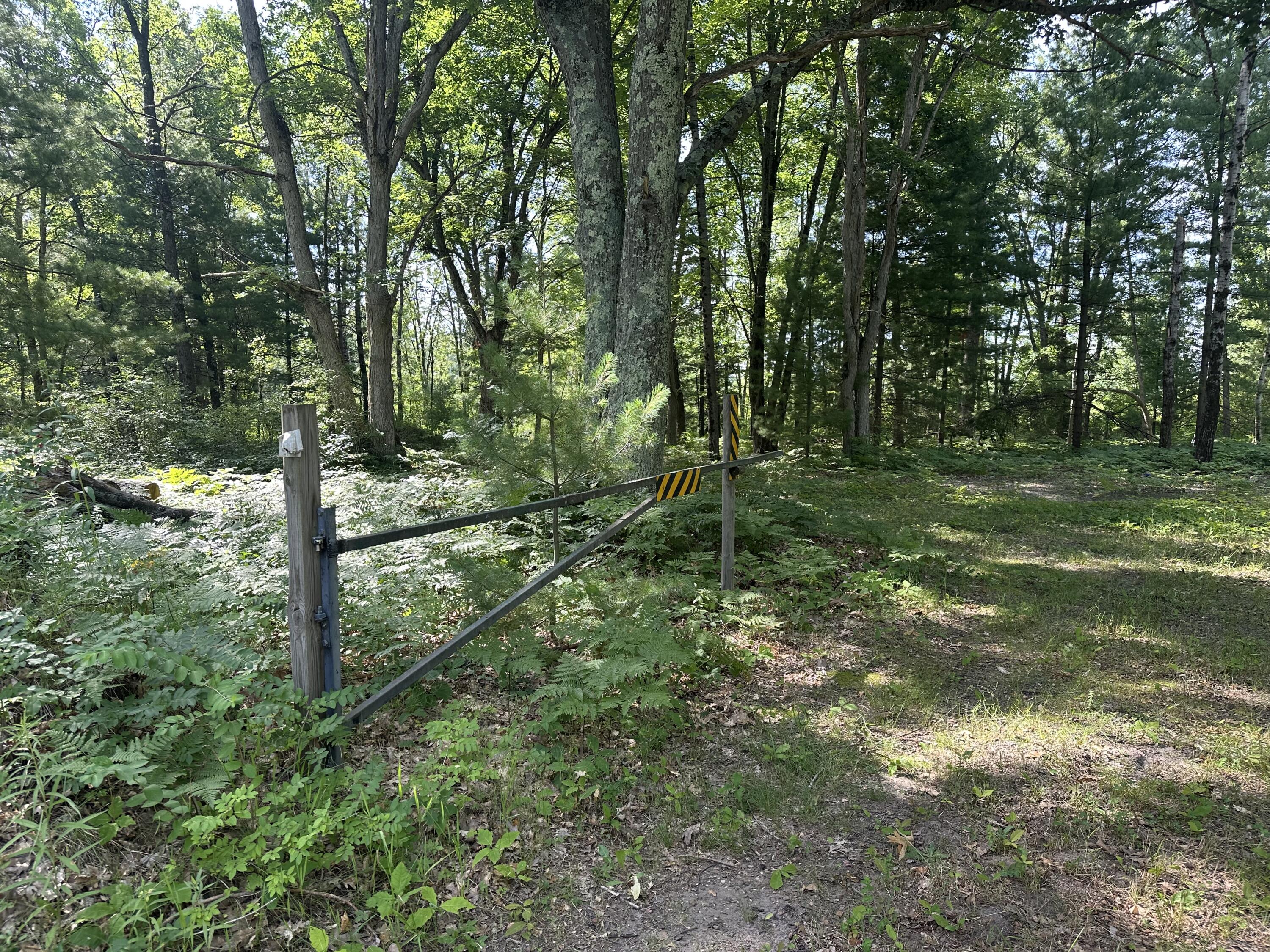 802 Beaver Road Bitely, MI 49309 - Photo 2 of 12 IMG_9281