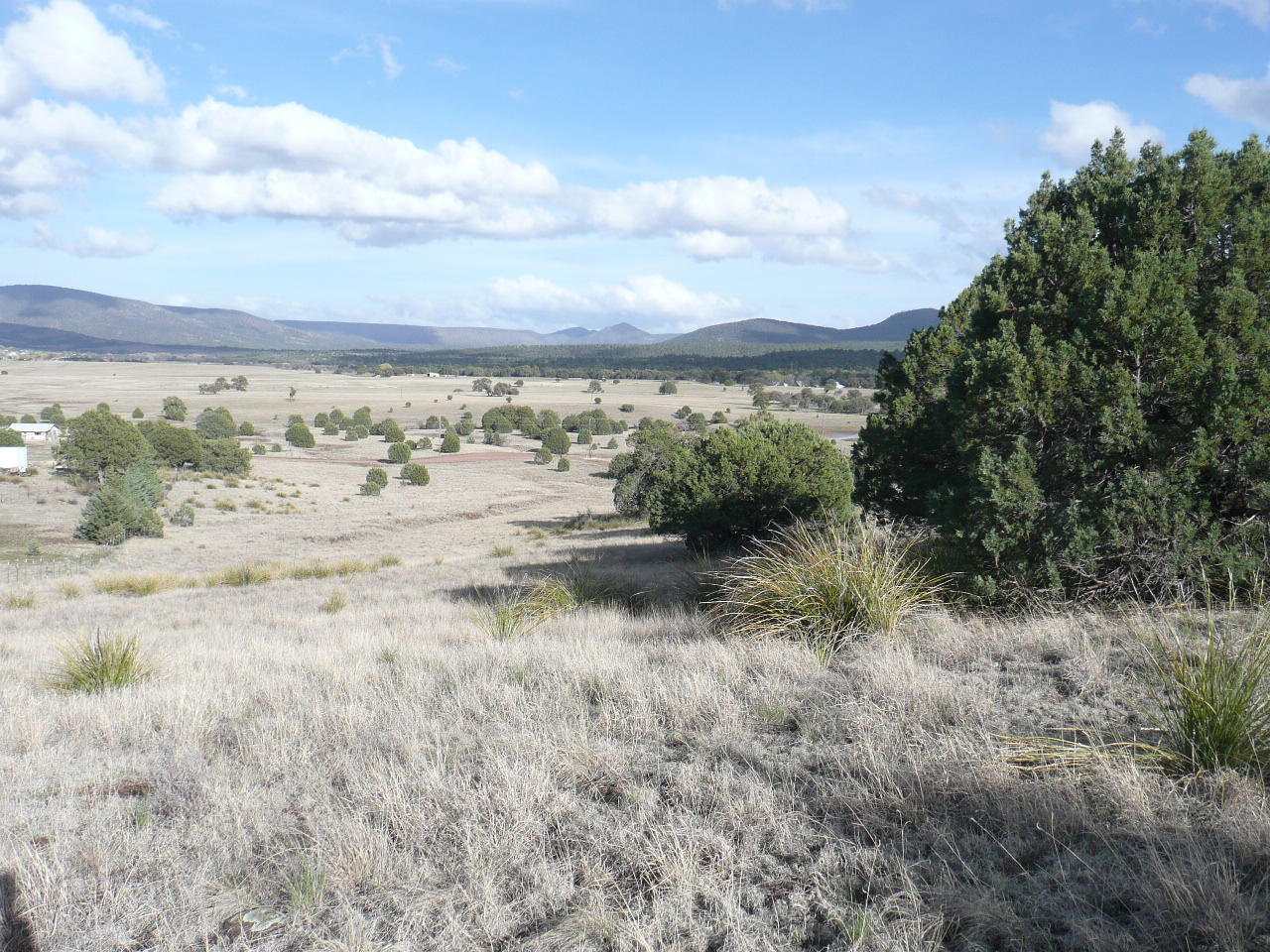 478 Rolling Hills Road Young, AZ 85554 - Photo 16 of 20