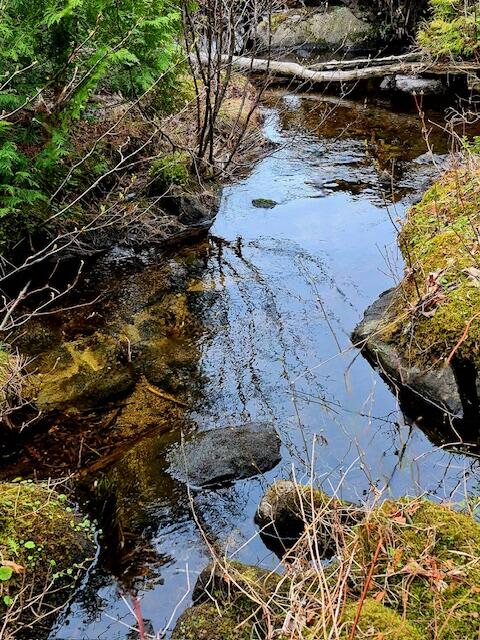 Lot 6 Morrison Brook, Unit ACRES Oakfield, ME 04763 - Photo 5 of 25 108908107376508748